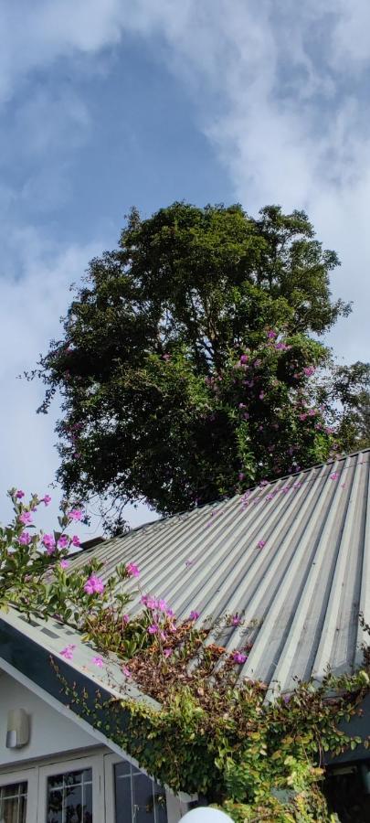 Munnar Tea Hills Resort - Mthr Exterior foto
