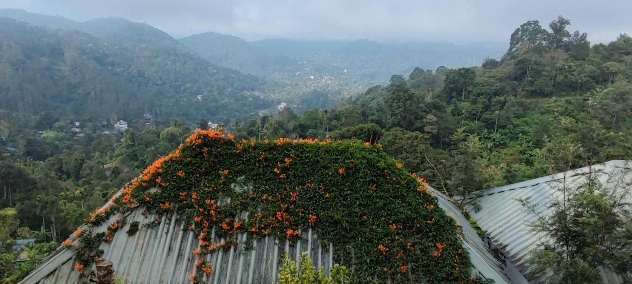 Munnar Tea Hills Resort - Mthr Exterior foto