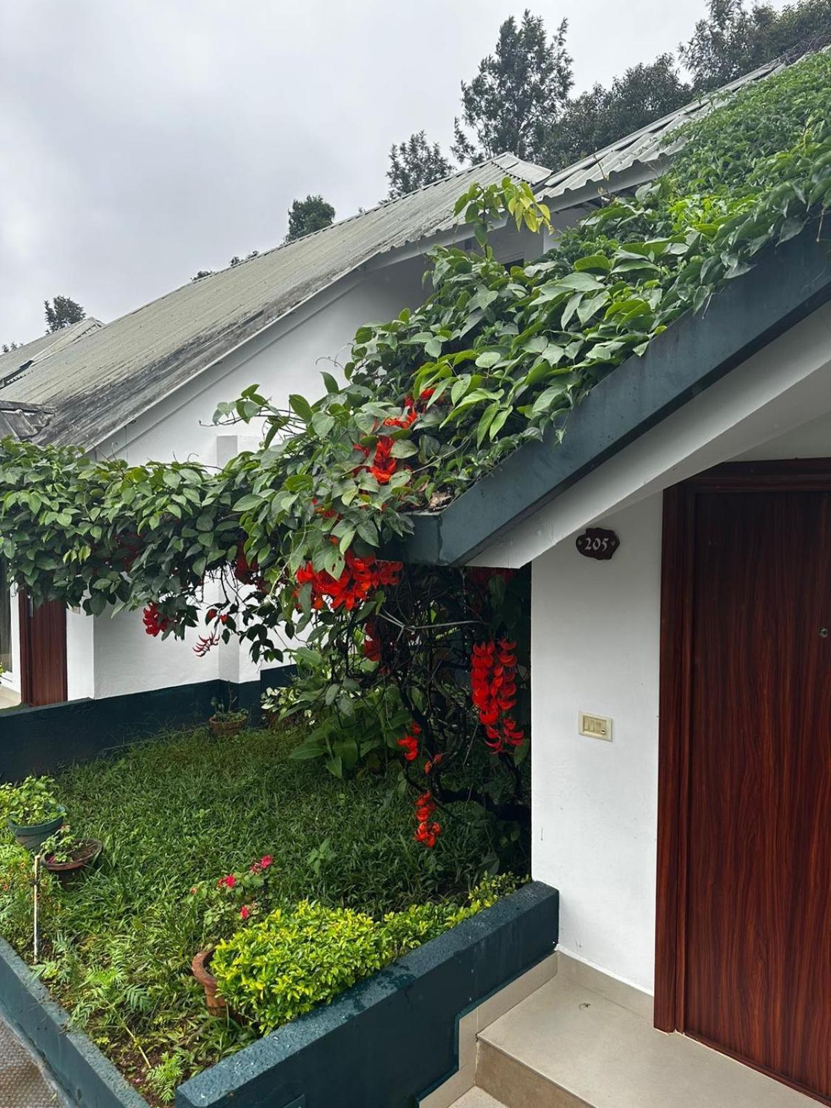 Munnar Tea Hills Resort - Mthr Exterior foto