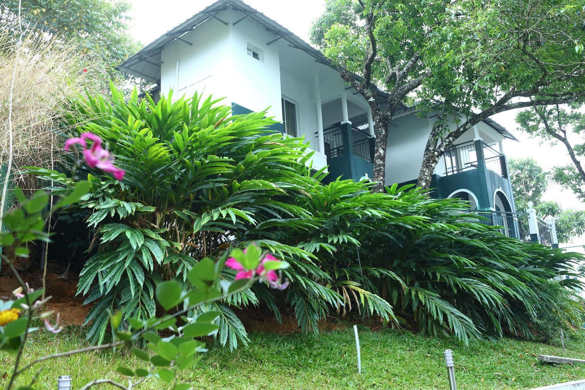 Munnar Tea Hills Resort - Mthr Exterior foto